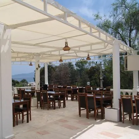 Gloriatibi Bizimtepe 2*