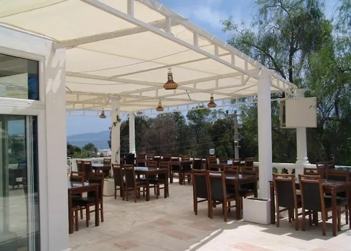 Gloriatibi Bizimtepe 2*